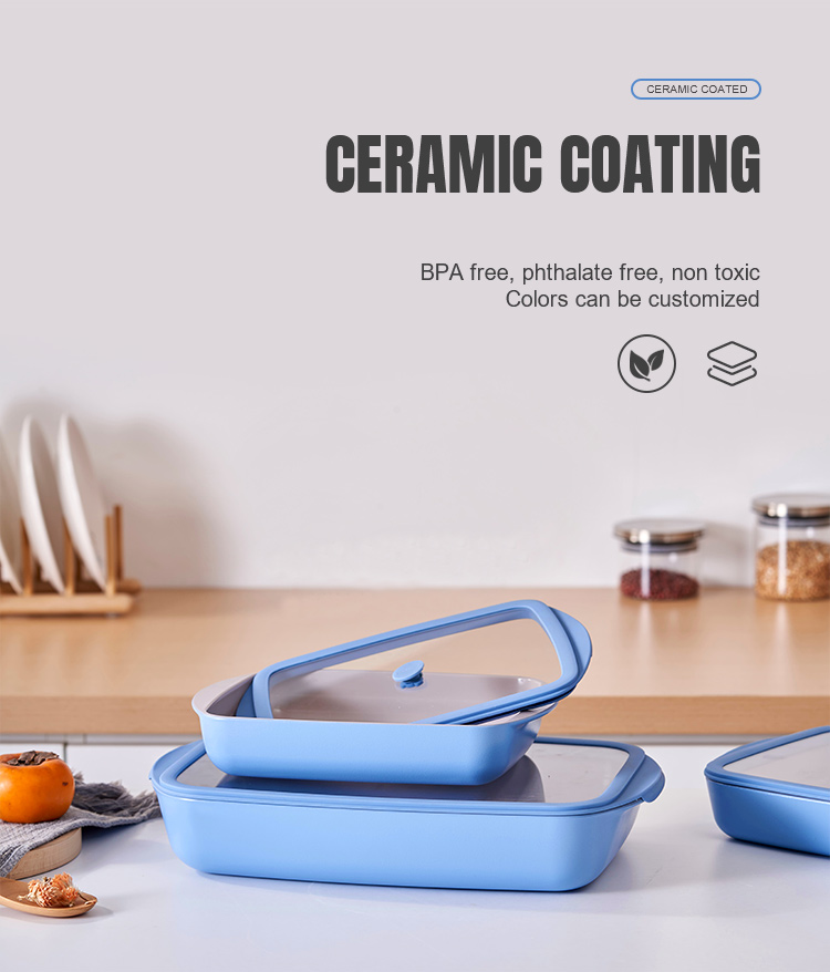 Ceramic Spray Glass Baking Pan