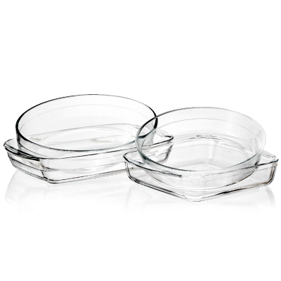 Rectangular Round Glass Baking Dish