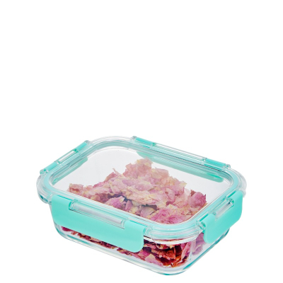 Glass Food Storage Salad Lunch Container